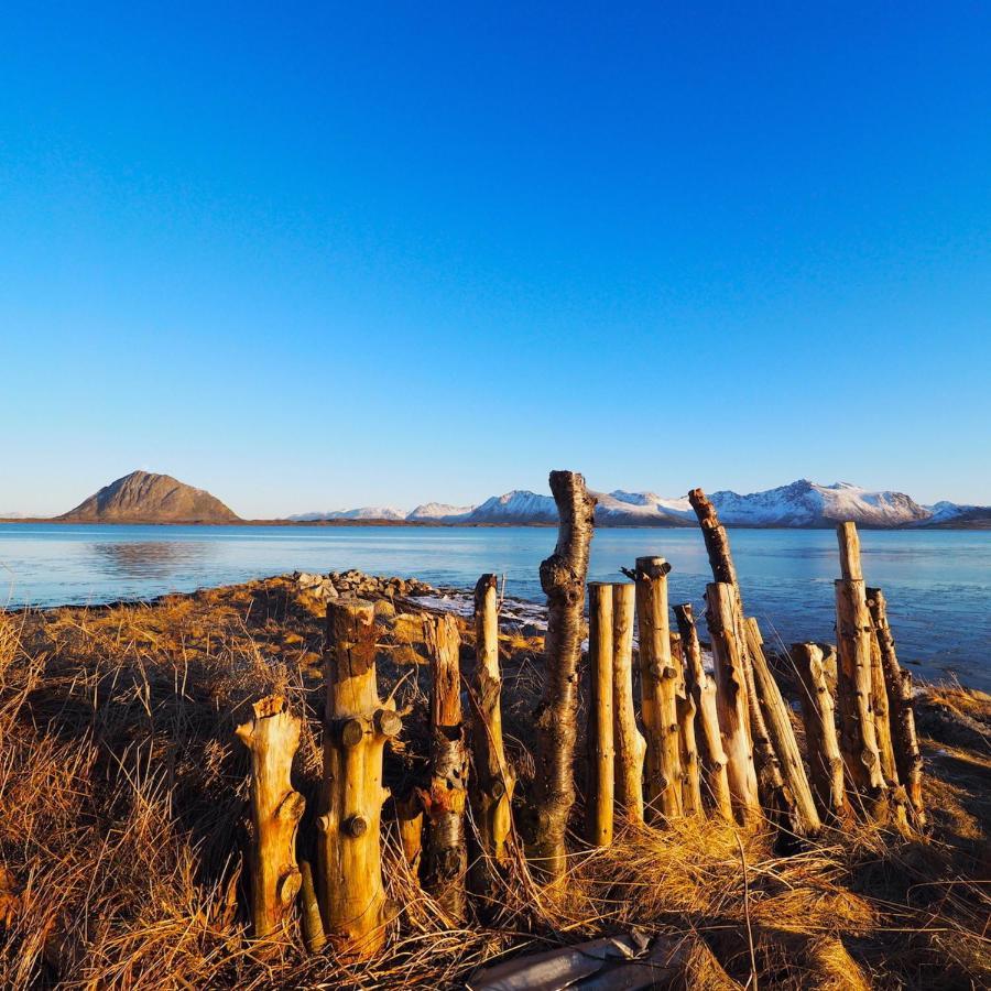 Eagle View Lofoten Bostad Экстерьер фото